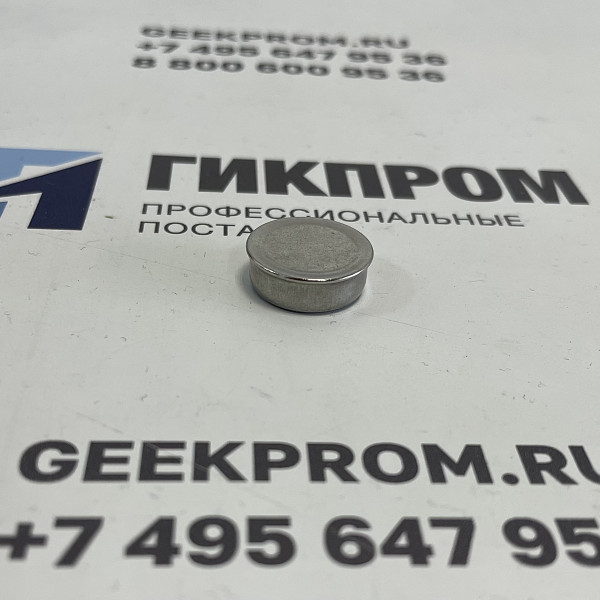 Ключ iButton DS1971-F5