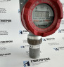 ДАХ-М-05-NH3-600 датчик-газоанализатор ИБЯЛ.413412.005-04.06